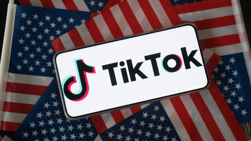 TikTok USA Access